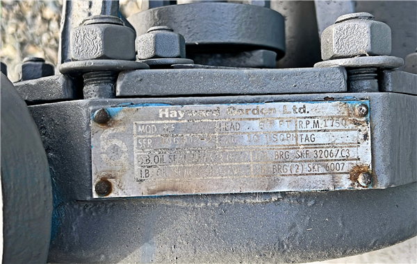 Hayward Gordon Pump, 60ft Head With 10 Hp Motor)